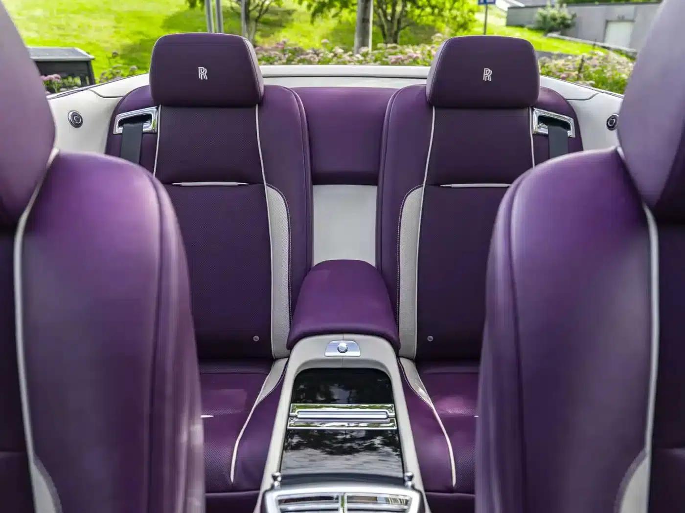 2018 Dawn 6.6T Standard Edition — миниатюра 11