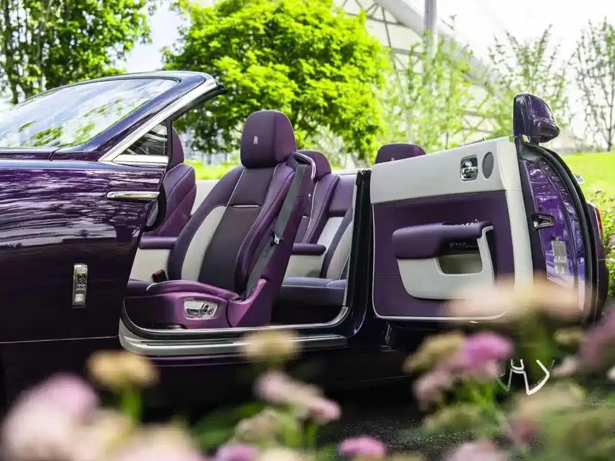 2018 Dawn 6.6T Standard Edition — миниатюра 12