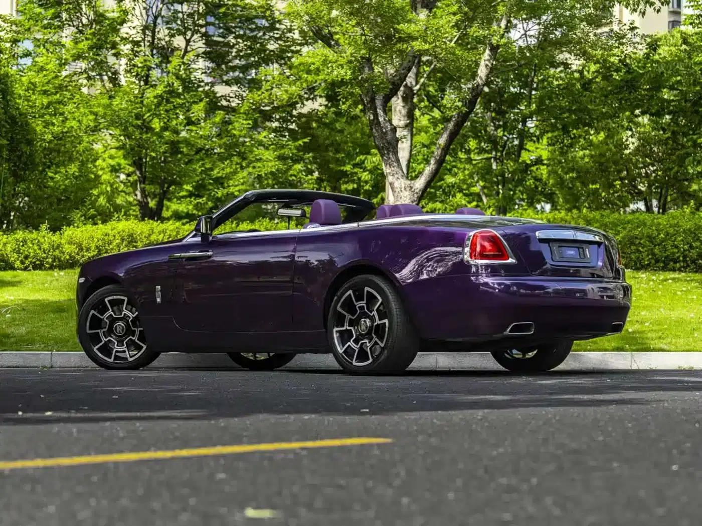 2018 Dawn 6.6T Standard Edition — миниатюра 15
