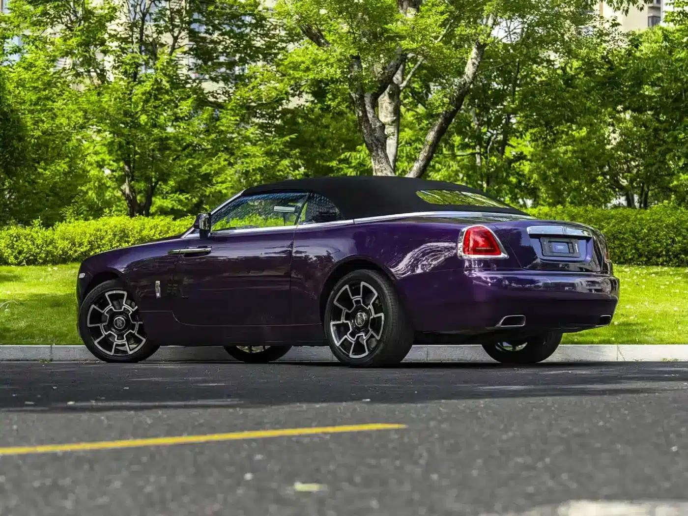 2018 Dawn 6.6T Standard Edition — миниатюра 18