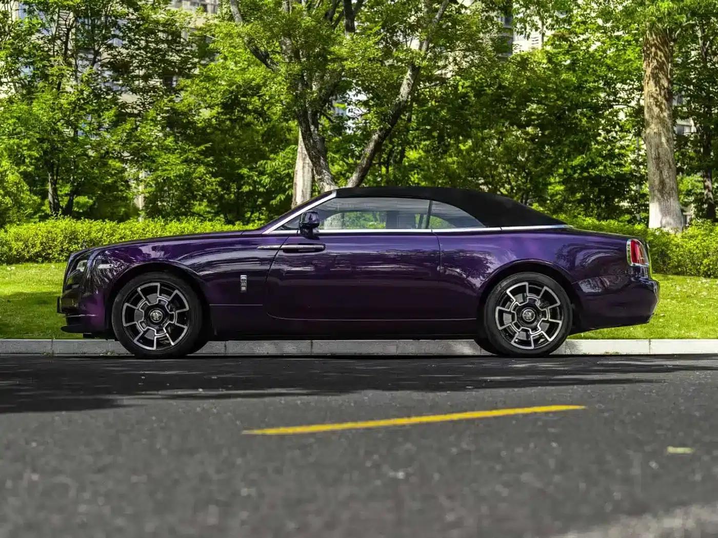 2018 Dawn 6.6T Standard Edition — миниатюра 19