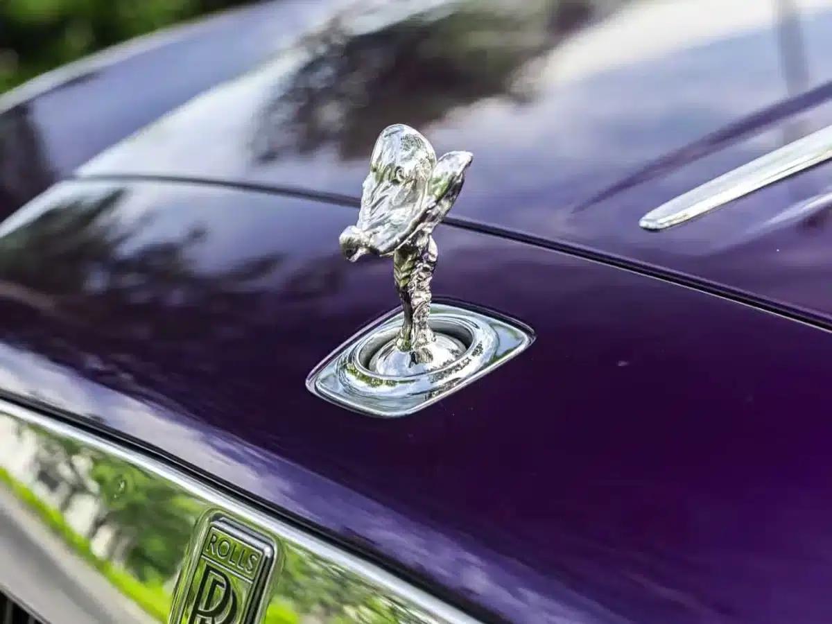 2018 Dawn 6.6T Standard Edition — миниатюра 5