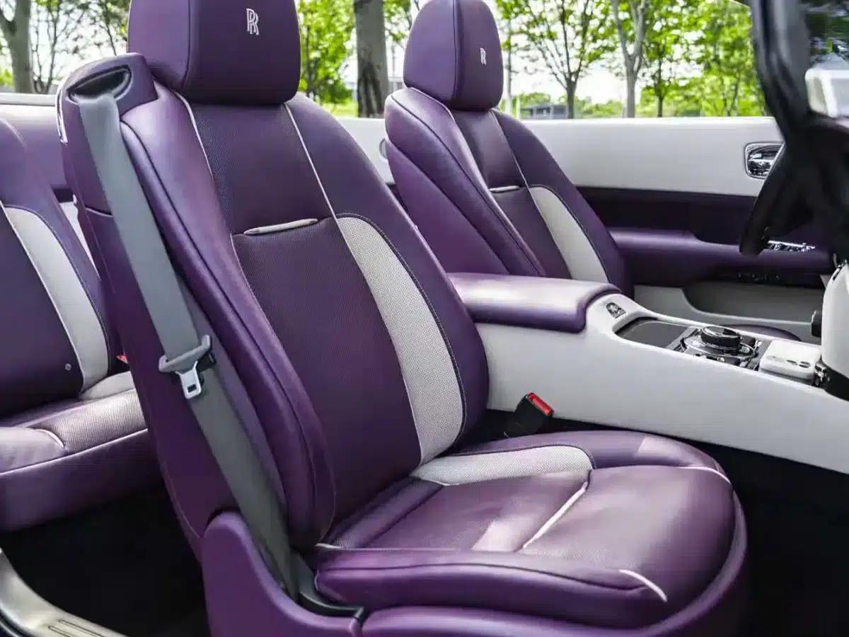 2018 Dawn 6.6T Standard Edition — миниатюра 7