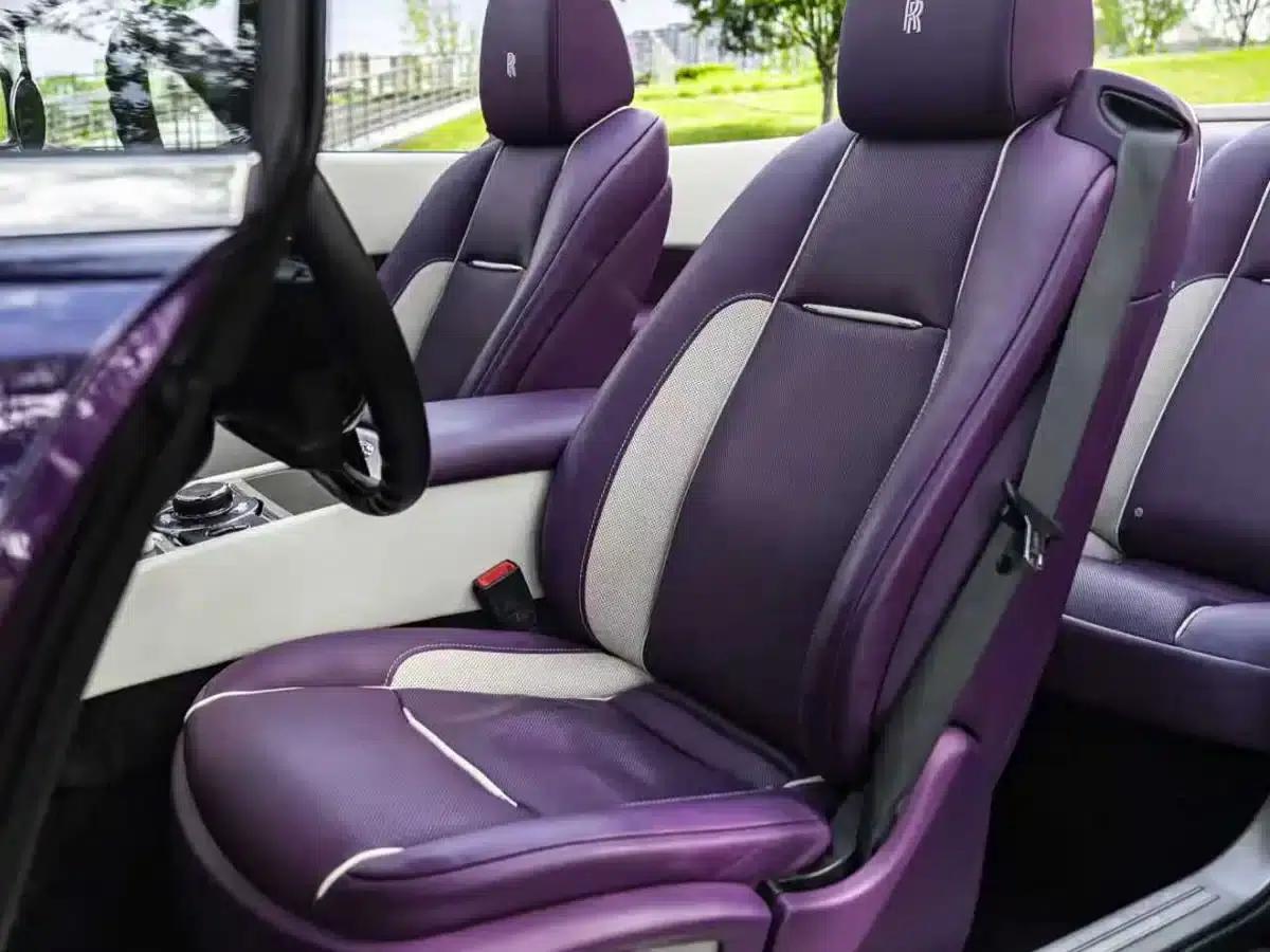 2018 Dawn 6.6T Standard Edition — миниатюра 9
