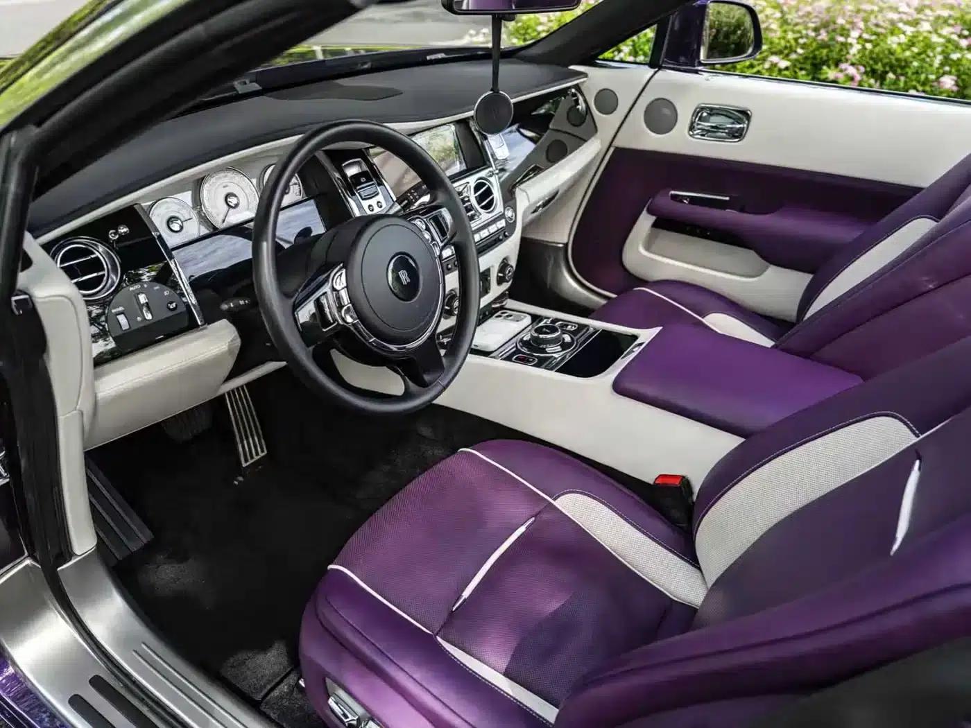 2018 Dawn 6.6T Standard Edition — миниатюра 10