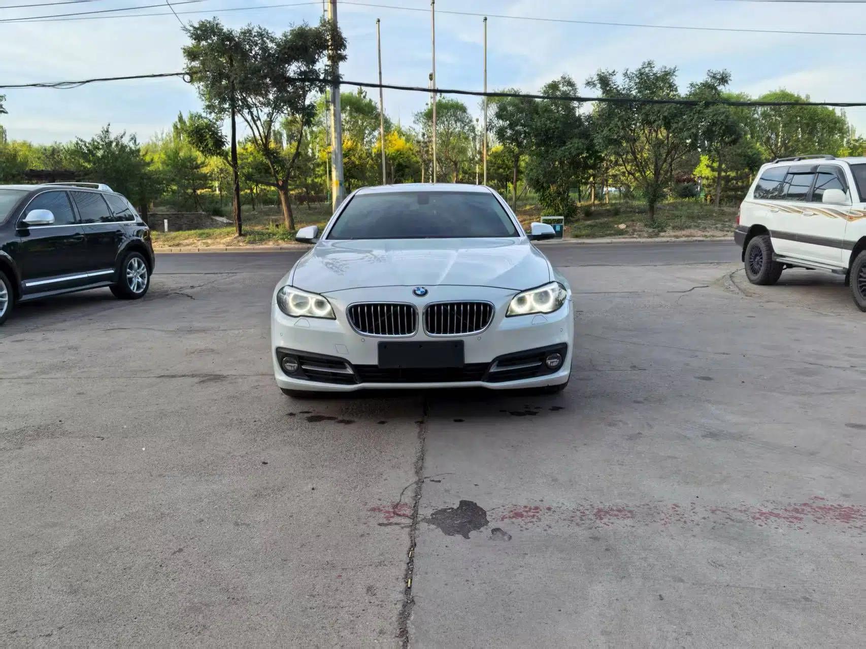 BMW 5 Series 2017 520Li Elegant Edition — миниатюра 2