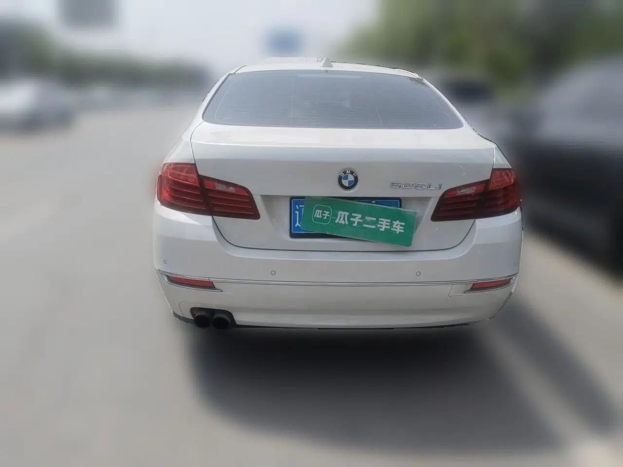 BMW 5 Series 2014 525Li Luxury Design Package — миниатюра 5