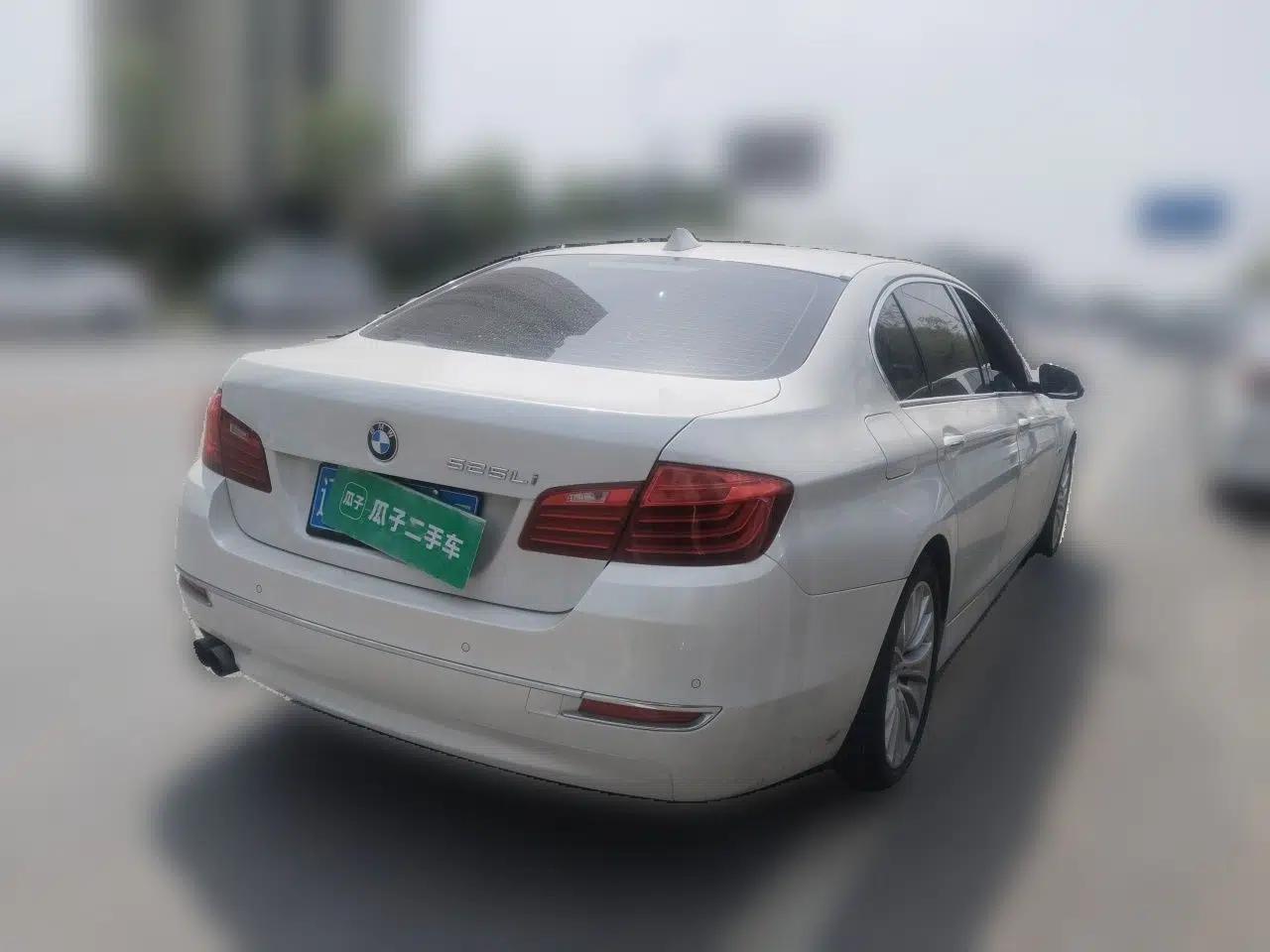 BMW 5 Series 2014 525Li Luxury Design Package — миниатюра 6