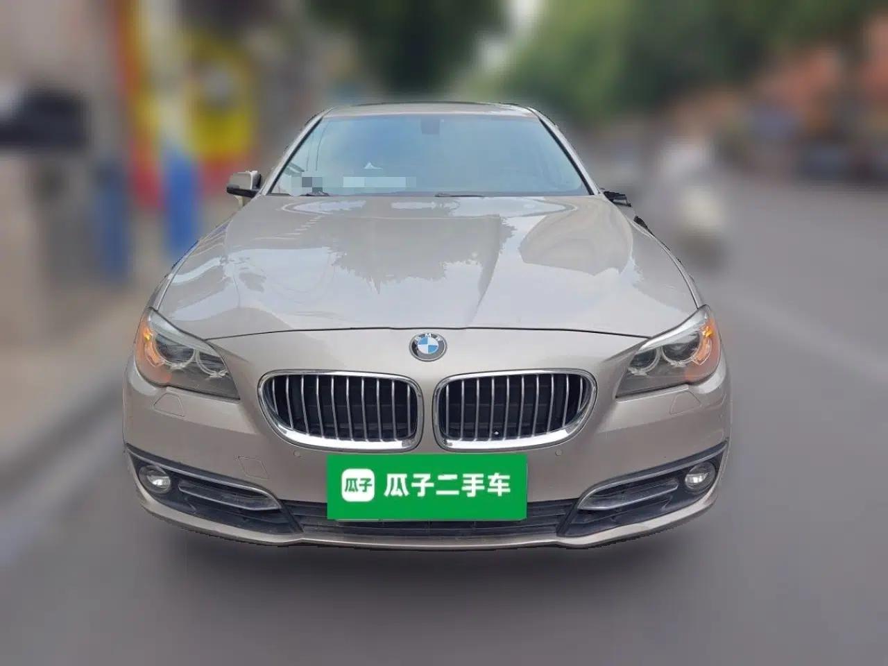 BMW 5 Series 2014 525Li Luxury Design Package — миниатюра 2