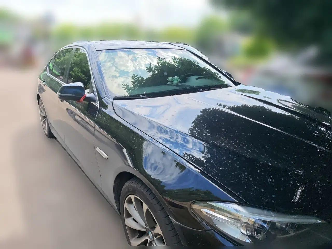 BMW 5 Series 2017 525Li Leading Model — миниатюра 3