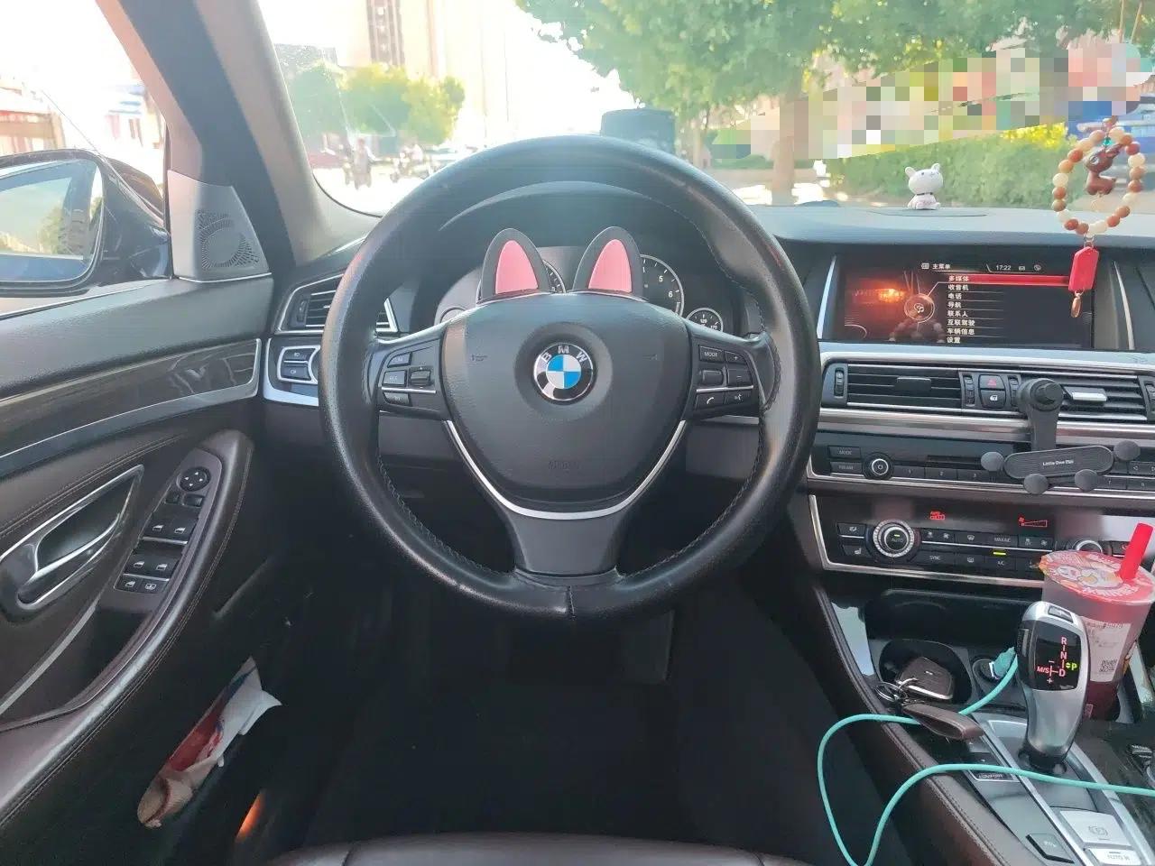 BMW 5 Series New Energy 2015 530Le — миниатюра 10