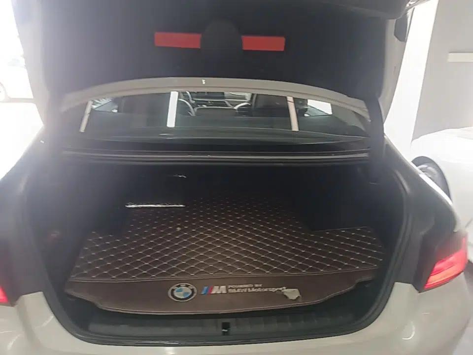 BMW 5 Series New Energy 2019 530Le Luxury Package — миниатюра 27