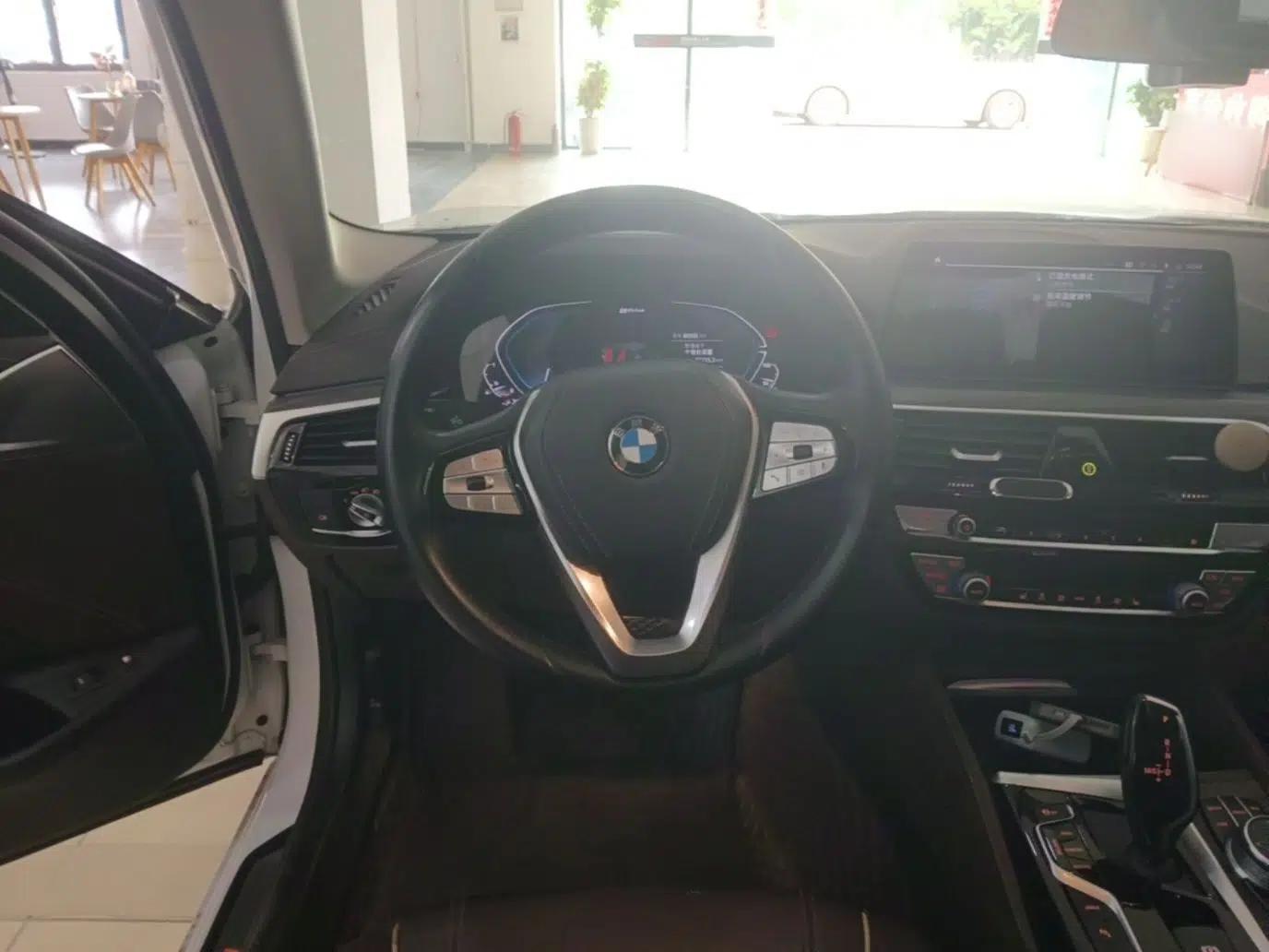 BMW 5 Series New Energy 2020 Mileage Upgrade Version 530Le Luxury Package — миниатюра 18