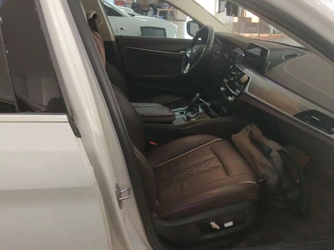 BMW 5 Series New Energy 2020 Mileage Upgrade Version 530Le Luxury Package — миниатюра 24