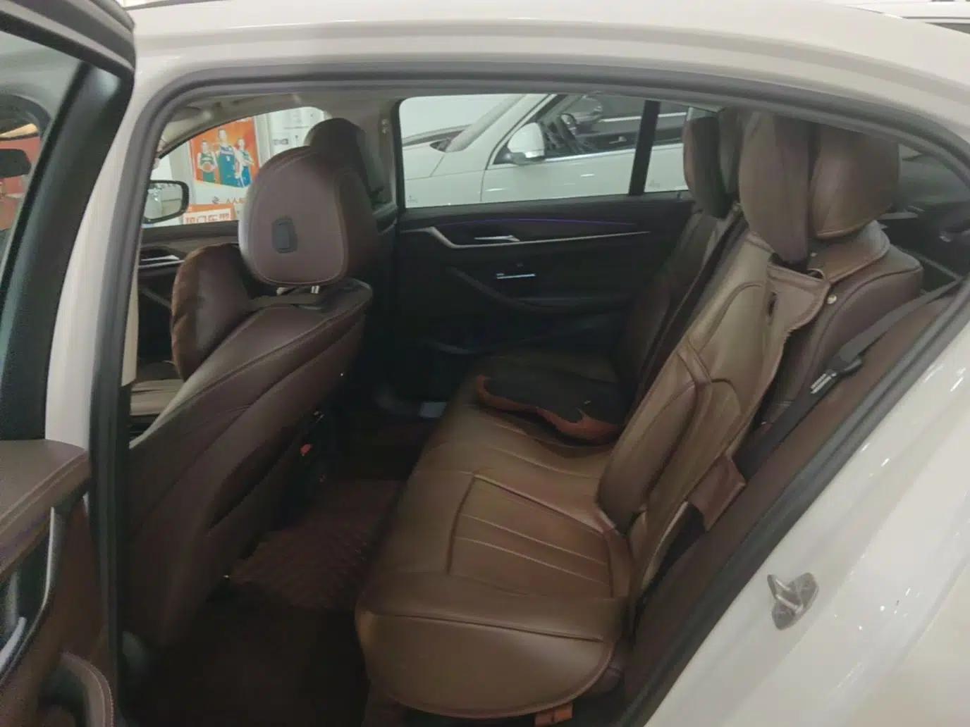 BMW 5 Series New Energy 2020 Mileage Upgrade Version 530Le Luxury Package — миниатюра 25