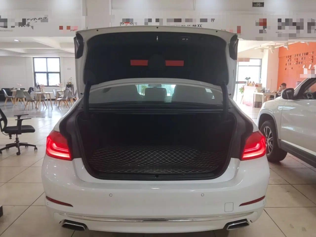 BMW 5 Series New Energy 2020 Mileage Upgrade Version 530Le Luxury Package — миниатюра 27