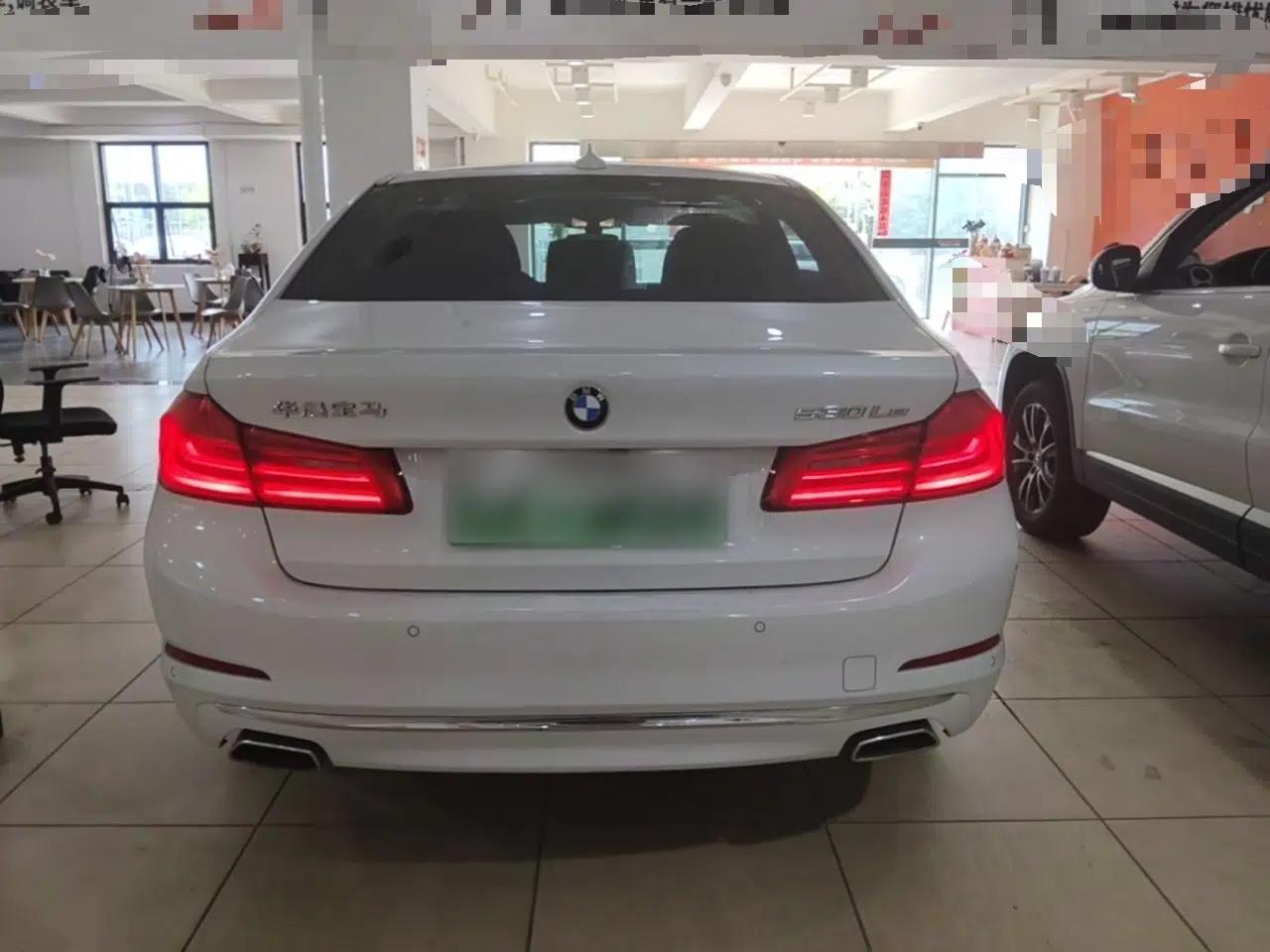 BMW 5 Series New Energy 2020 Mileage Upgrade Version 530Le Luxury Package — миниатюра 5