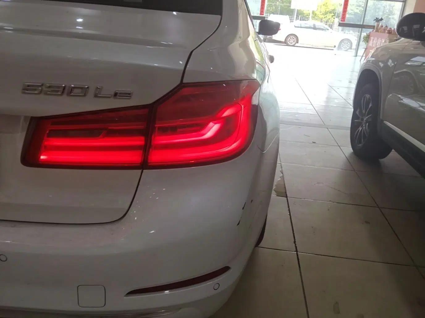 BMW 5 Series New Energy 2020 Mileage Upgrade Version 530Le Luxury Package — миниатюра 9