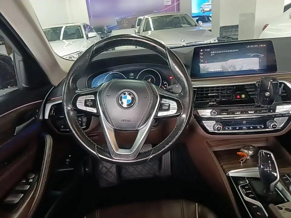 BMW 5 Series New Energy 2019 Updated Version 530Le Luxury Package — миниатюра 13