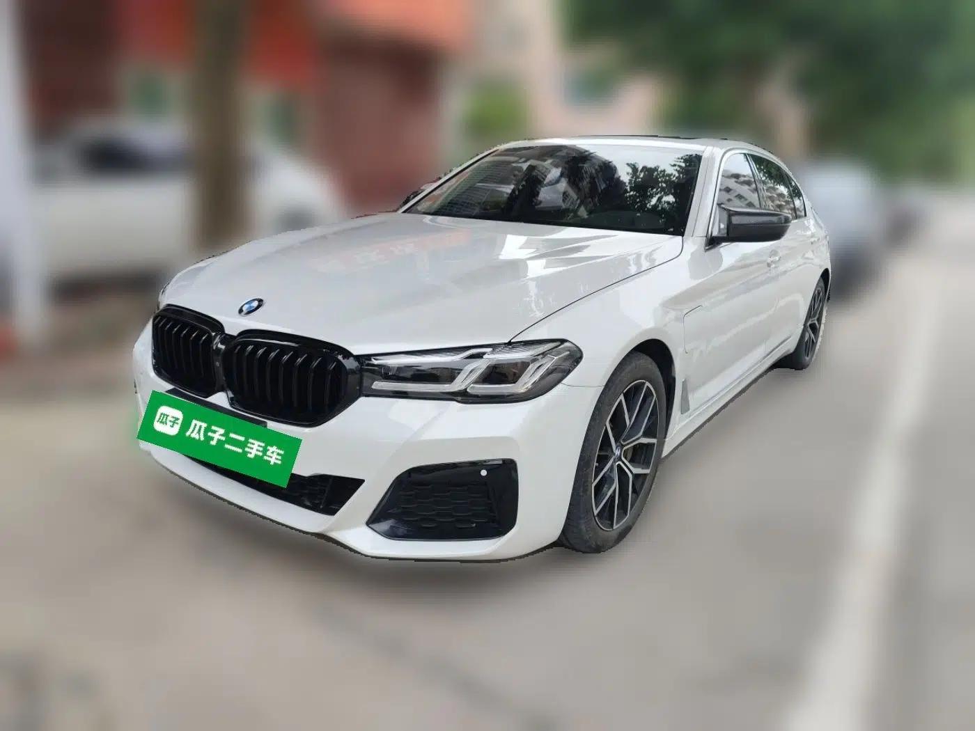BMW 5 Series New Energy 2019 530Le Luxury Package — миниатюра 1
