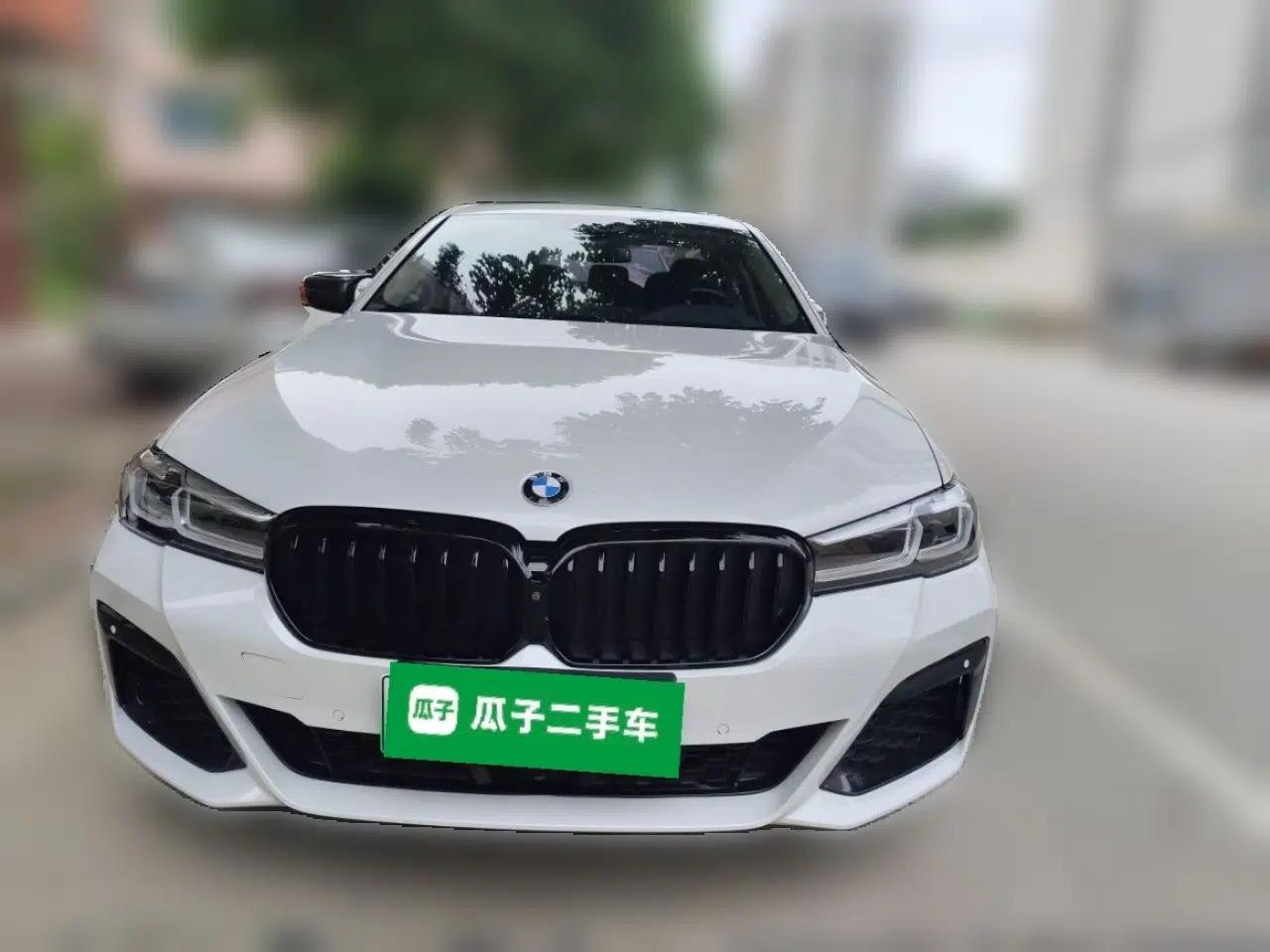 BMW 5 Series New Energy 2019 530Le Luxury Package — миниатюра 2