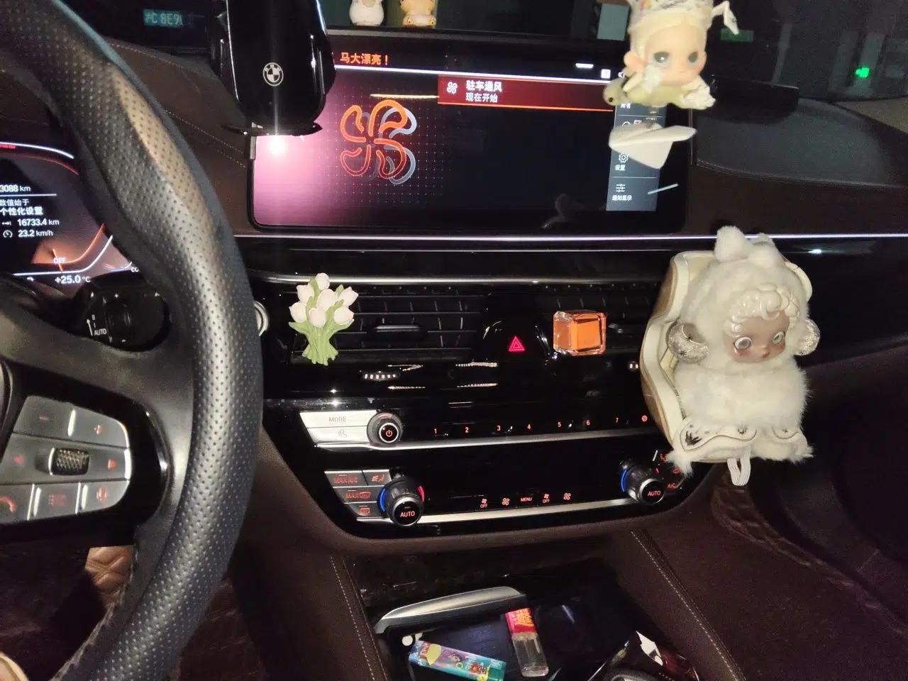 BMW 5 Series 2021 525Li Luxury Package — миниатюра 13