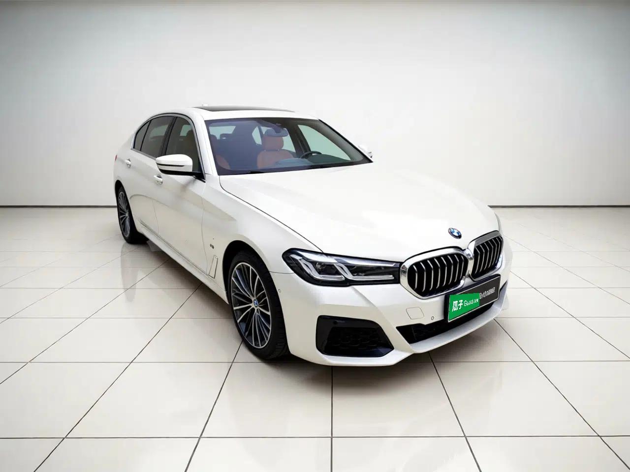 BMW 5 Series 2021 530Li Leading Model M Sport Package — миниатюра 3