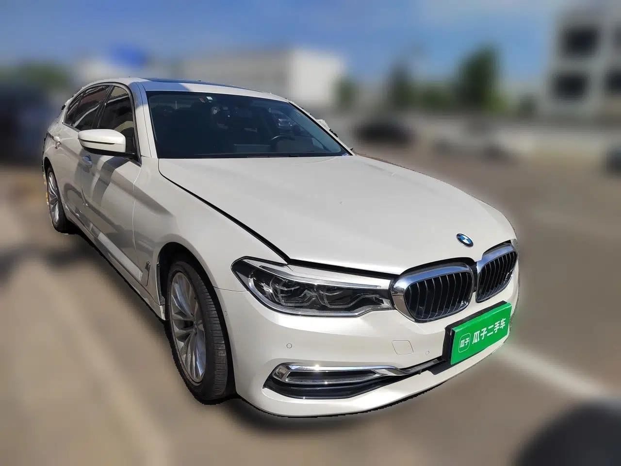 BMW 5 Series 2020 530Li Luxury Edition Premium Package — миниатюра 3