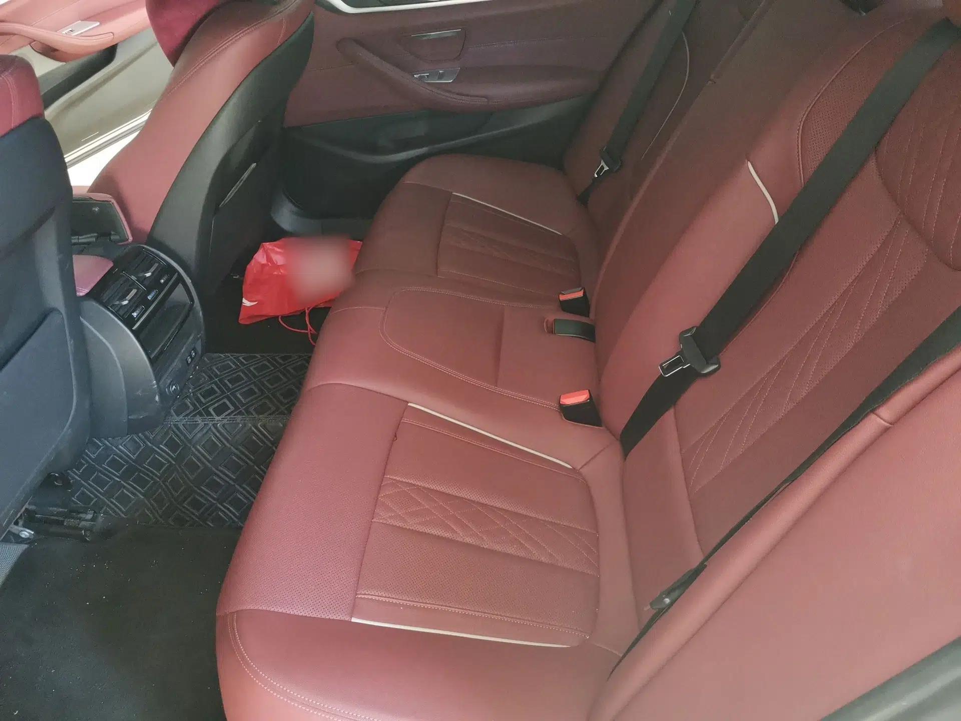 BMW 5 Series 2022 Restyled 530Li Leading Edition M Sport Package — миниатюра 17