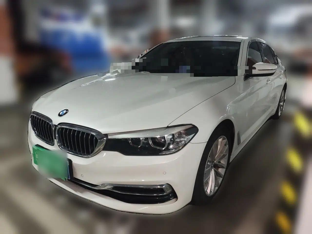 BMW 5 Series 2019 530Li Leading Model Luxury Package — миниатюра 1