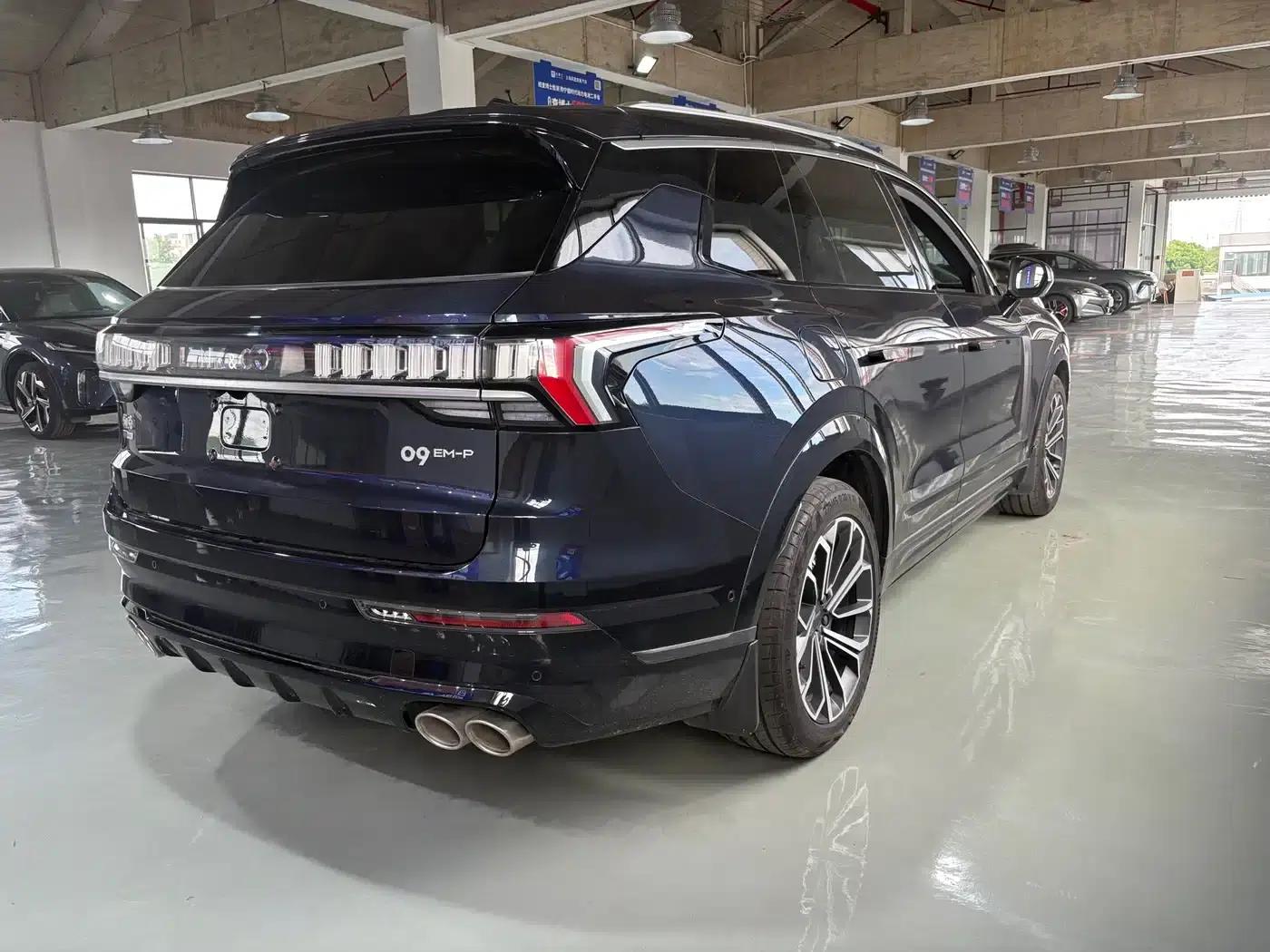 Lynk & Co 09 EM-P 2023 2.0TD EM-P AWD Asian Touring Administrative Edition 5-seater — миниатюра 4