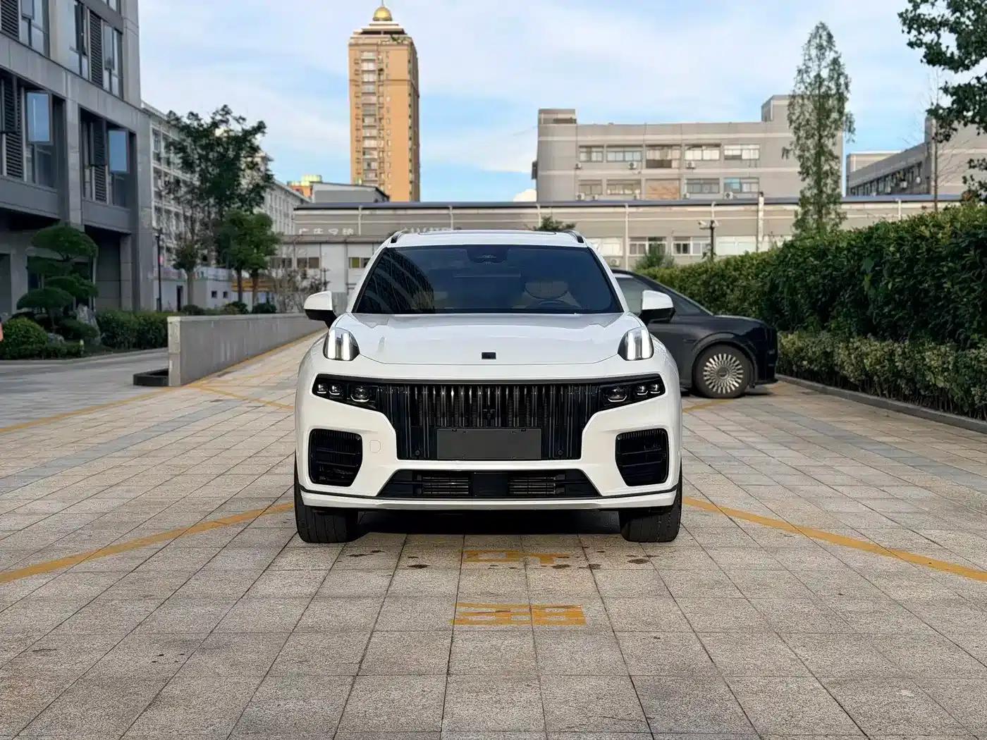 Lynk & Co 09 EM-P 2021 2.0T PHEV Halo 6-seater — миниатюра 2