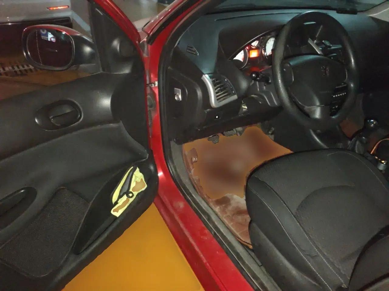 Peugeot 207 2011 Hatchback 1.4L Manual Yule Edition — миниатюра 16
