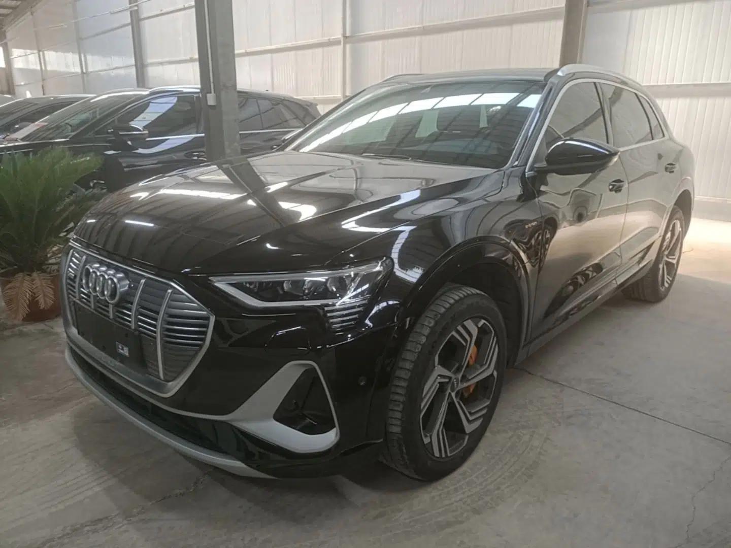 Audi e-tron 2021 50 quattro Prestige Edition — миниатюра 1