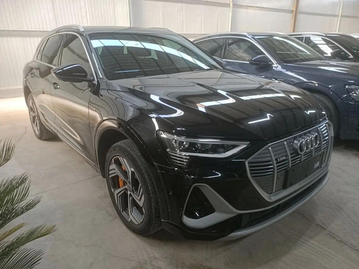 Audi e-tron 2021 50 quattro Prestige Edition — миниатюра 3