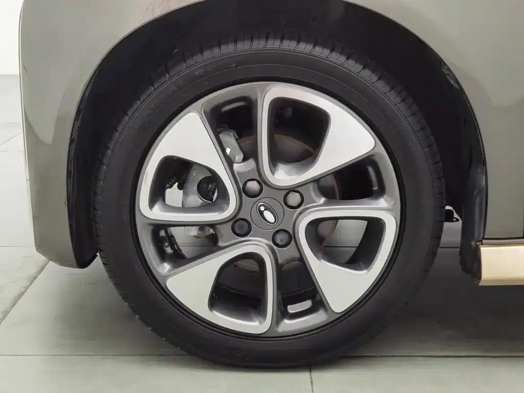 ORA White Cat 2022 Little Wildcat Edition 401km Flagship Model Ternary Lithium — миниатюра 17