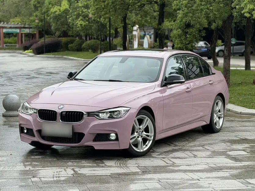 BMW 3 Series 2019 320Li M Sport Package — миниатюра 1