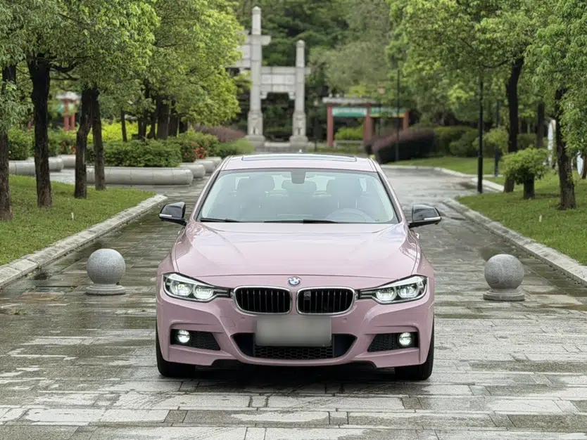 BMW 3 Series 2019 320Li M Sport Package — миниатюра 12