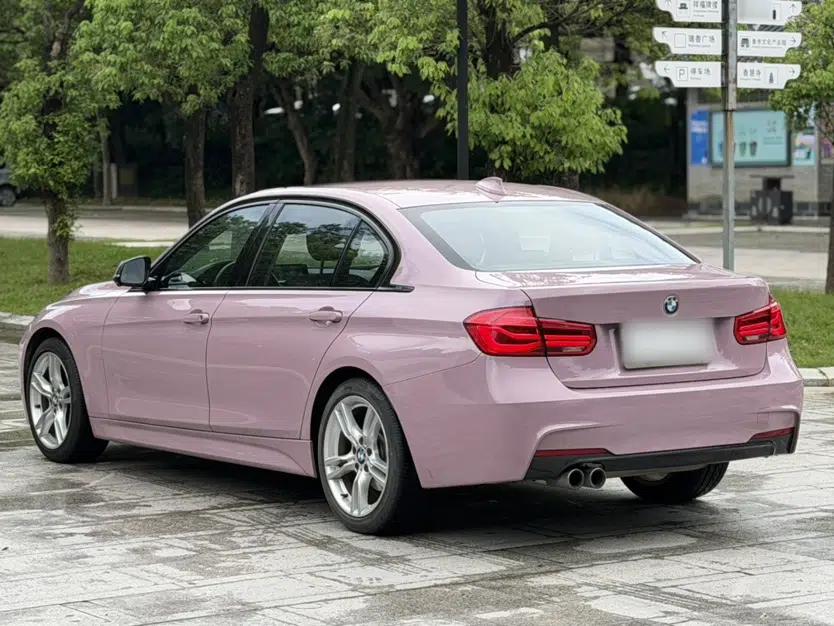 BMW 3 Series 2019 320Li M Sport Package — миниатюра 14