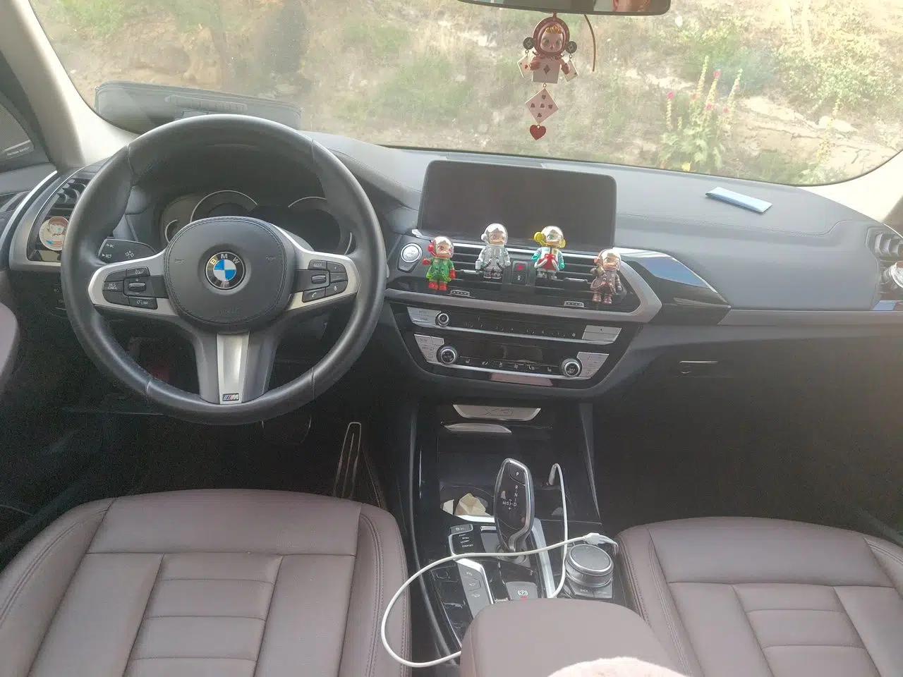 BMW X3 2018 xDrive25i M Sport Package China VI — миниатюра 9