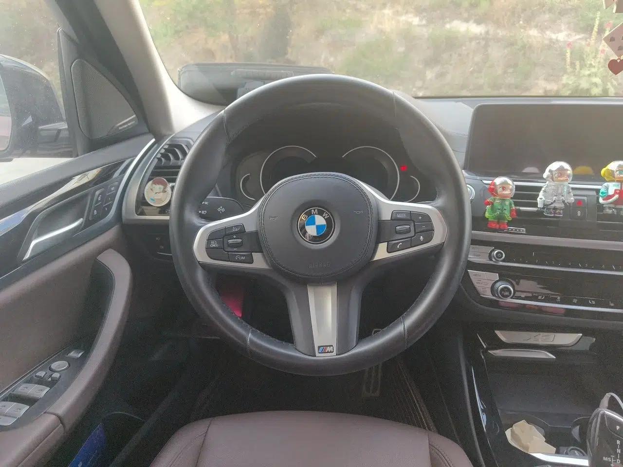 BMW X3 2018 xDrive25i M Sport Package China VI — миниатюра 10