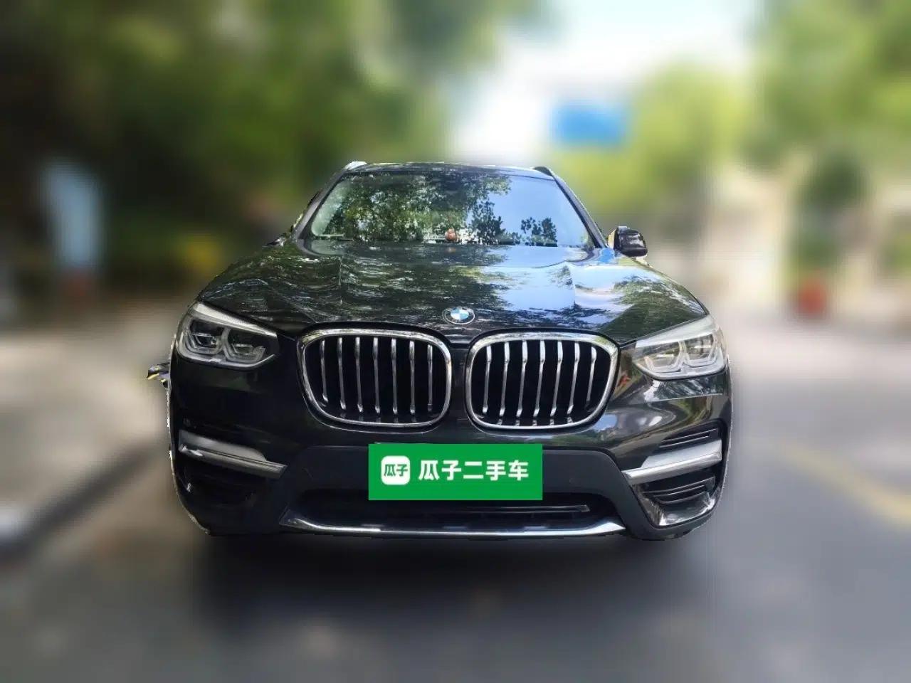 BMW X3 2019 xDrive25i Luxury Package — миниатюра 2