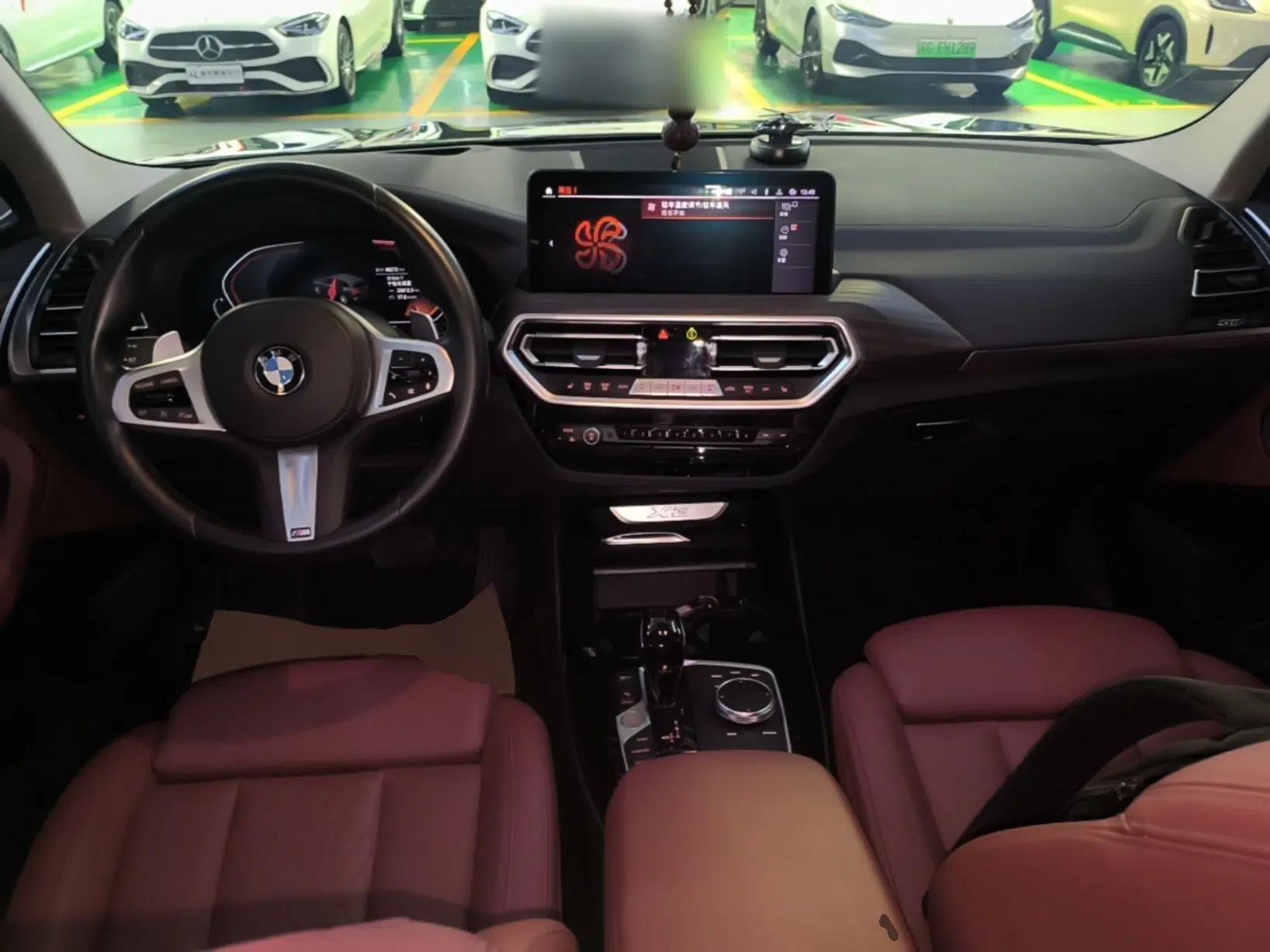 BMW X3 2022 xDrive30i Luxury Model M Night Sky Package — миниатюра 12