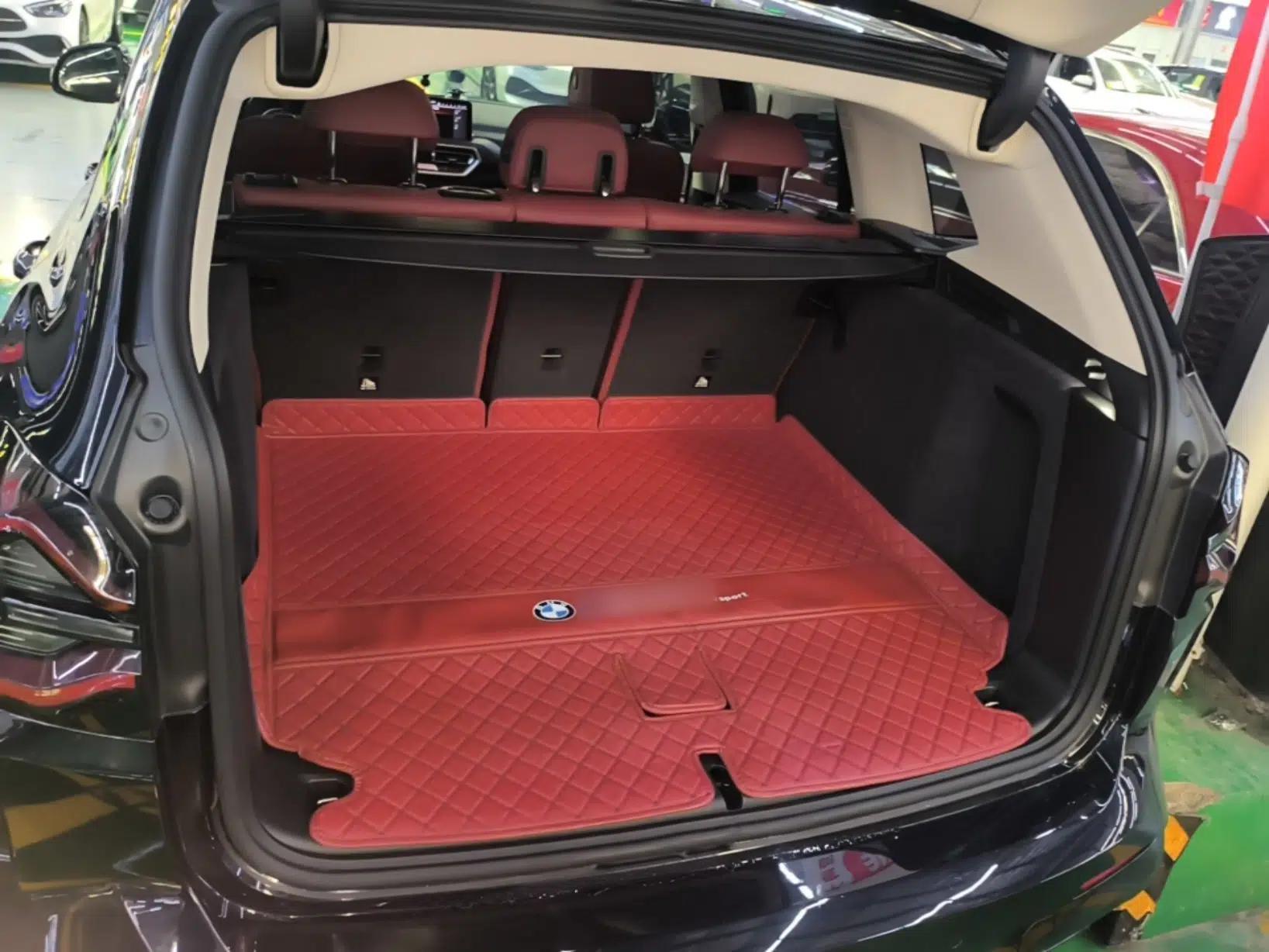 BMW X3 2022 xDrive30i Luxury Model M Night Sky Package — миниатюра 22