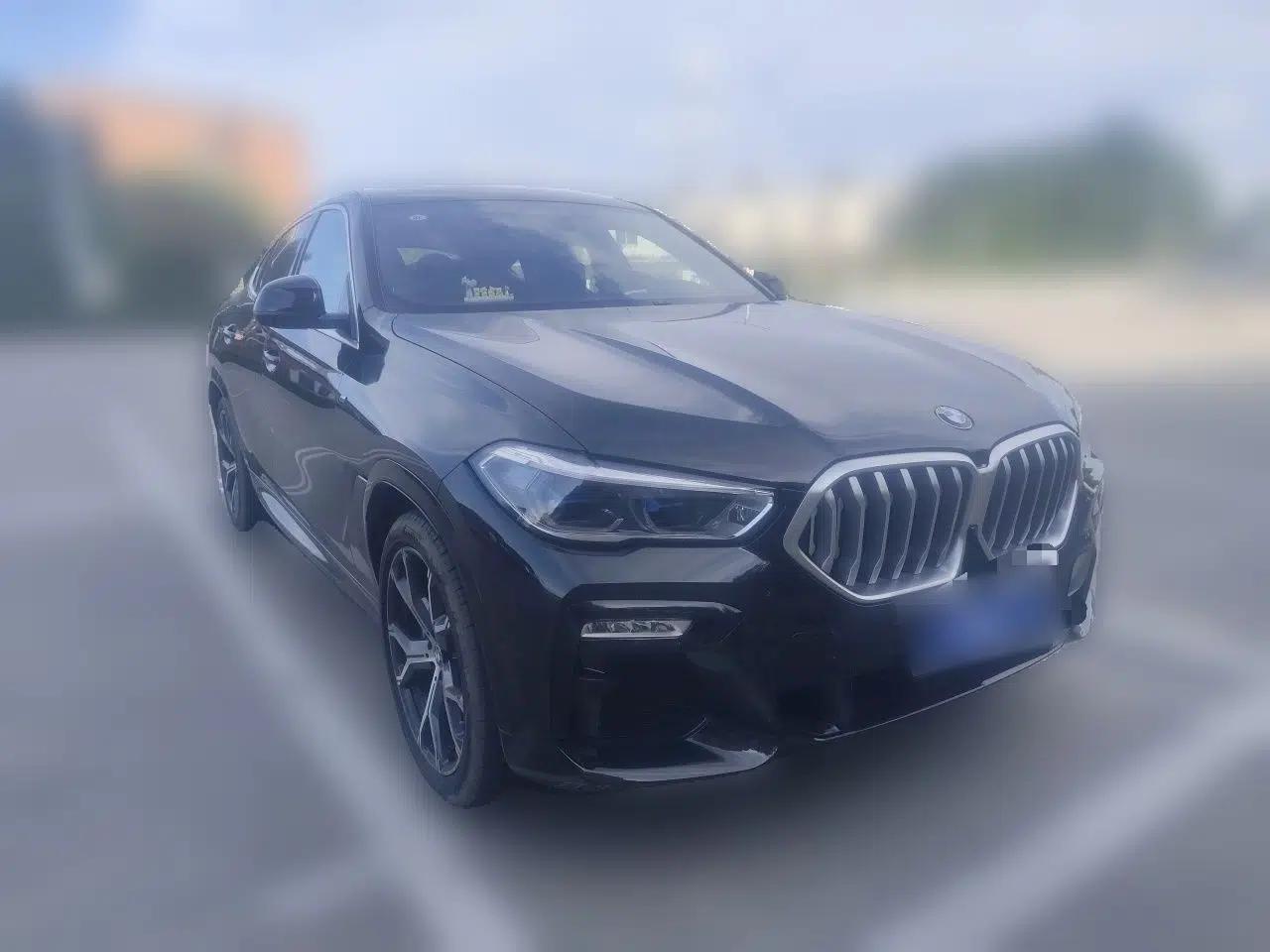 BMW X6 2021 xDrive40i Luxury Model with M Sport Package — миниатюра 3