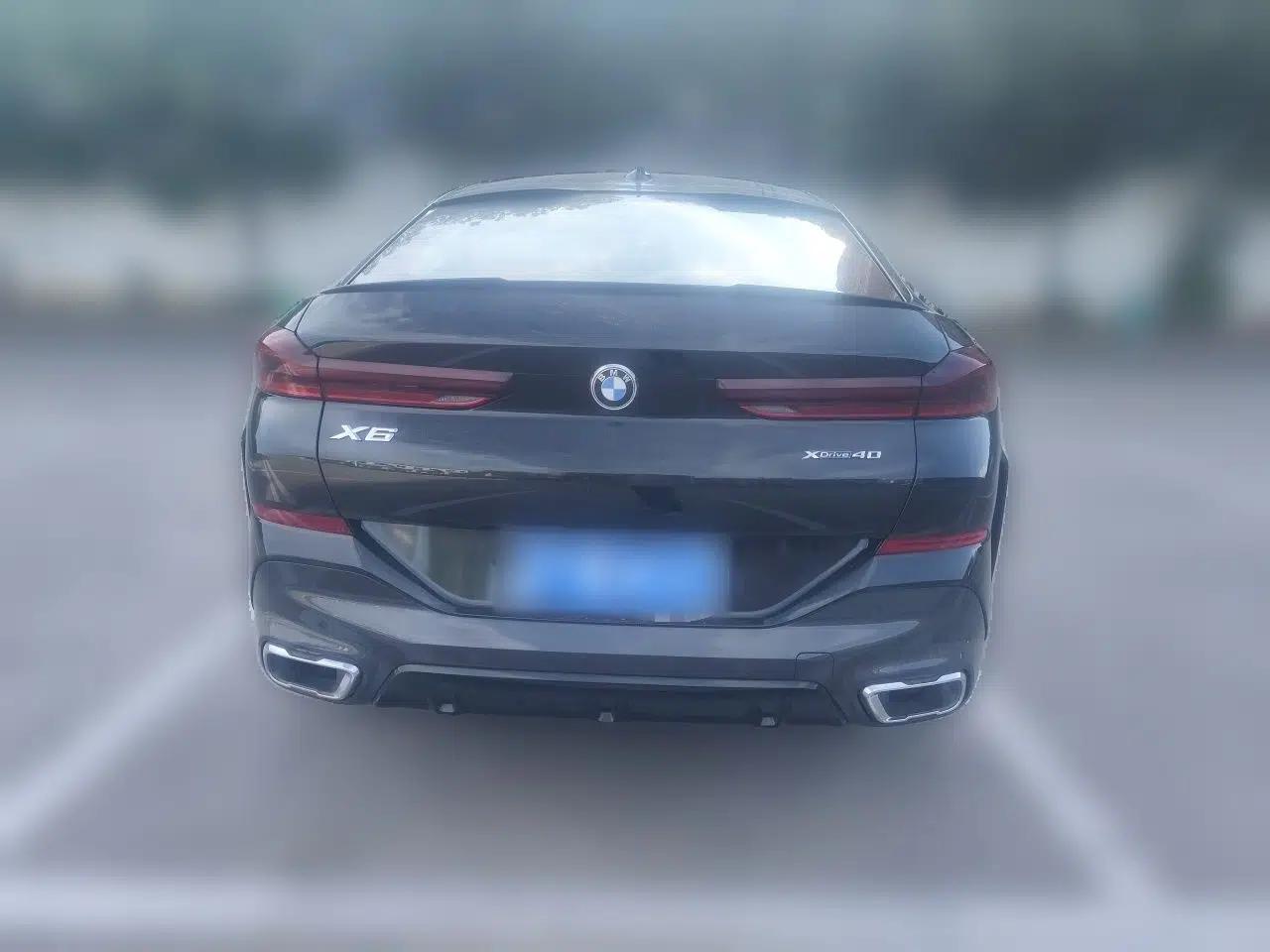 BMW X6 2021 xDrive40i Luxury Model with M Sport Package — миниатюра 5