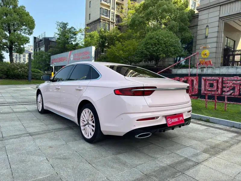 Xingrui 2021 2.0T Premium Edition — миниатюра 5