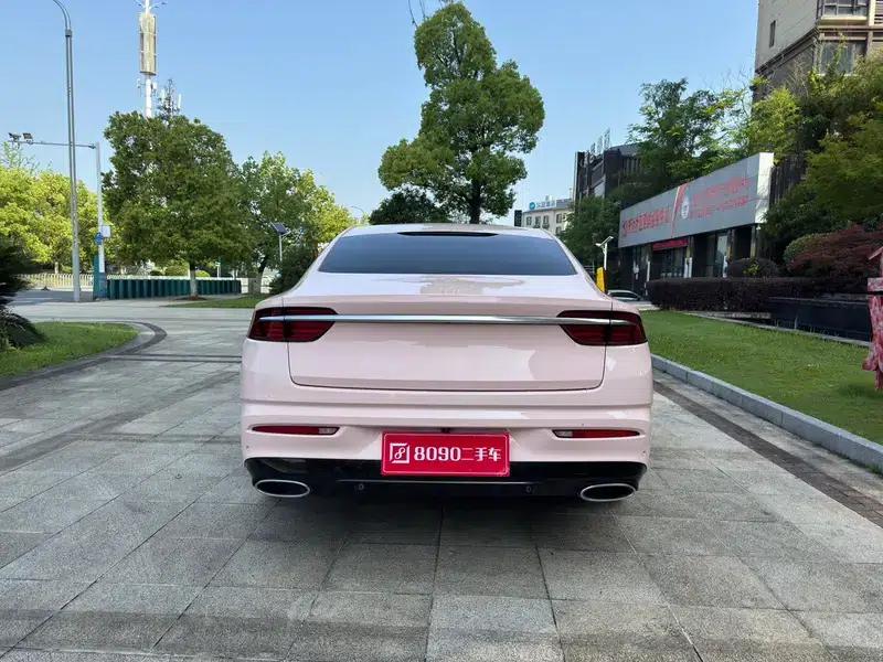 Xingrui 2021 2.0T Premium Edition — миниатюра 6