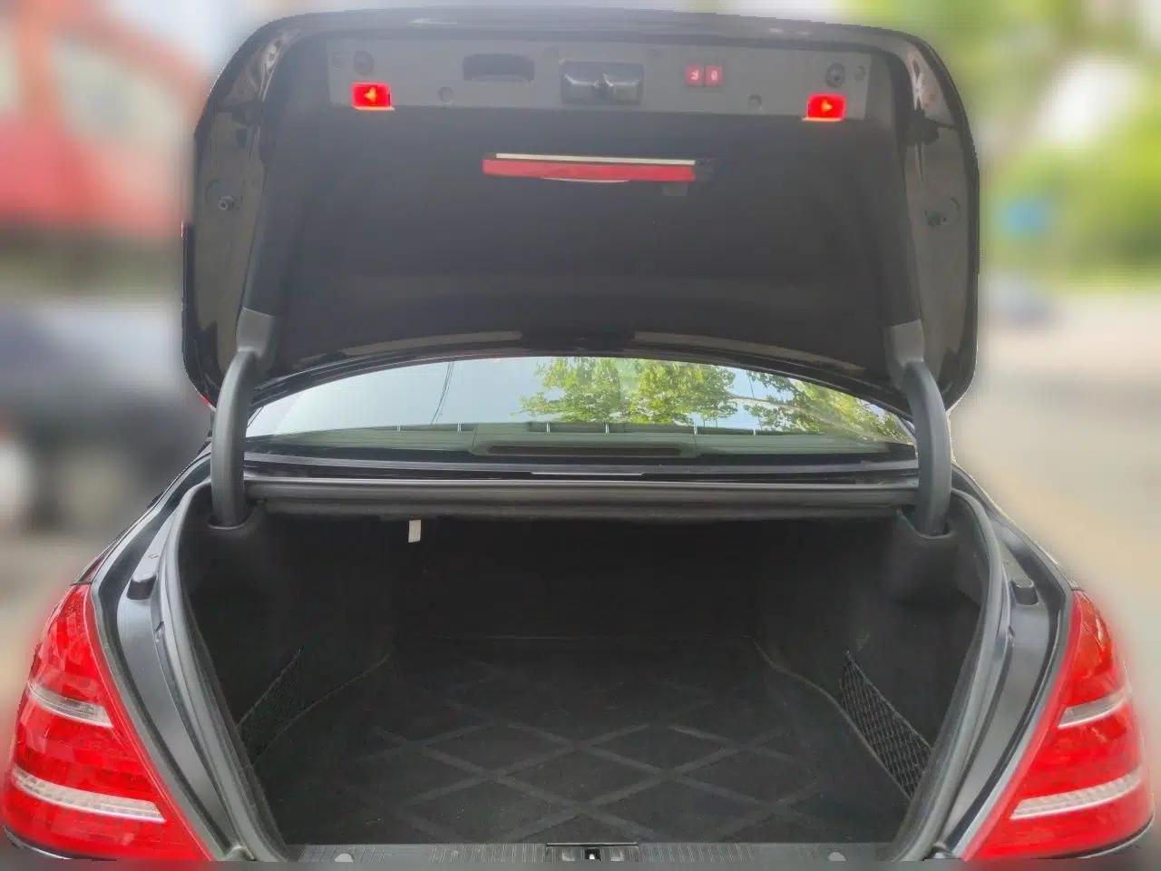 Mercedes-Benz S-Class 2010 S 300 L Luxury Model — миниатюра 19