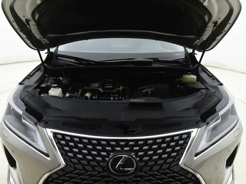 Lexus RX 2020 Facelift 300 2WD Comfort Edition — миниатюра 6